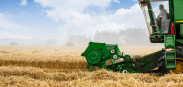 akkerbouw combine tarweoogst tarwe - agri