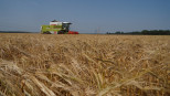 combine gerst brouwgerst gerstoogst zomergerst