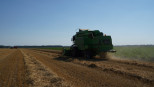 graanoogst combine tarweoogst