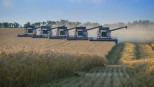 combine tarweoogst tarwe